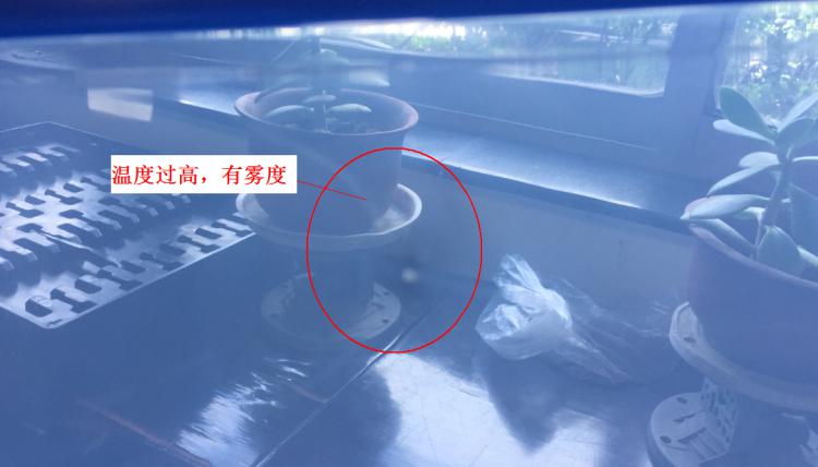 注塑製品質量缺陷分析（六）造成製品表麵有霧度的主要原因是什麽？
